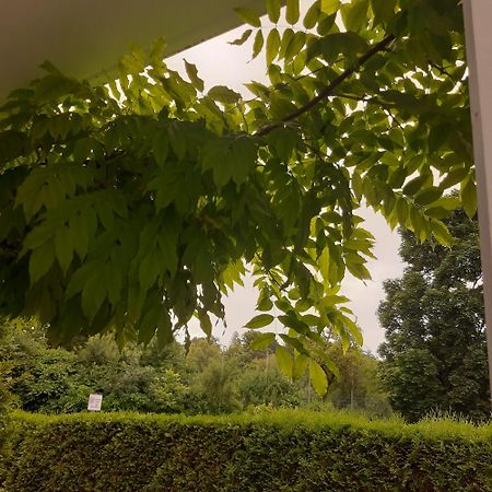 City Apartment Tuebingen-Lustnau Dış mekan fotoğraf